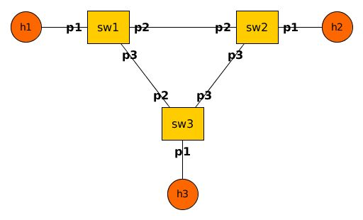 Source Routing topology